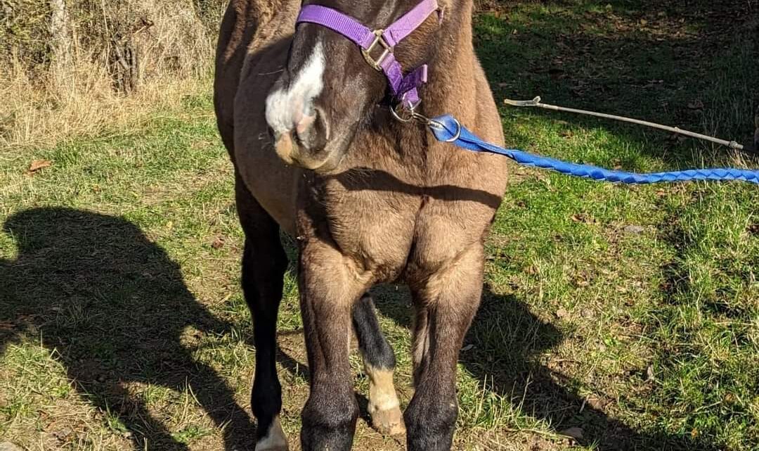 FB_IMG_1701085595724