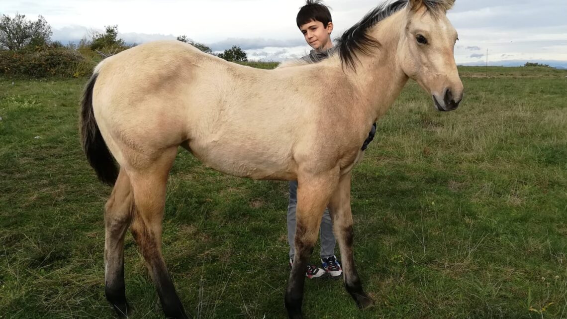 WhatsApp Image 2023-12-01 at 15.21.15